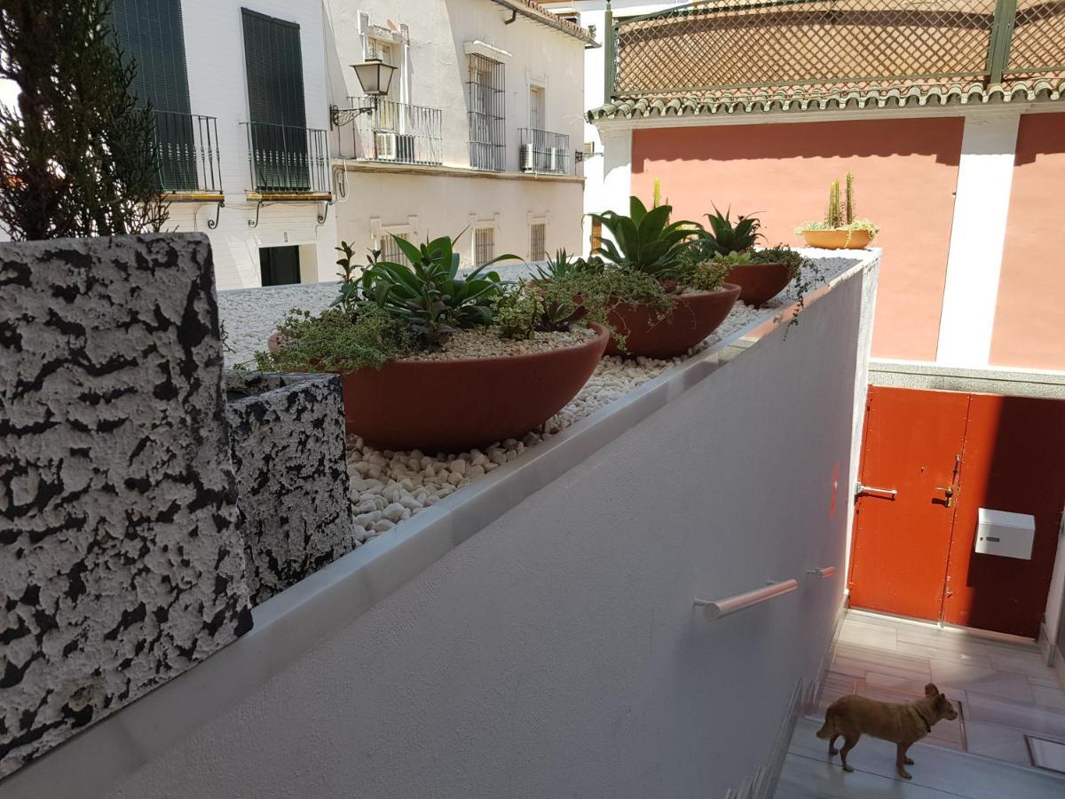 Apartament Lolita'S House Alhambra Sewilla Zewnętrze zdjęcie